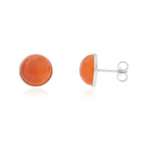 Pendientes en plata con Cornalina (CUSTODANA)