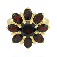 Anillo en plata con Granate