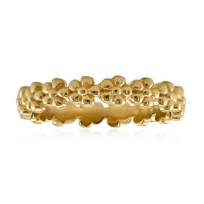 Anillo en plata