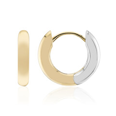 Pendientes en plata