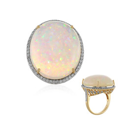 Anillo en oro con Ópalo Welo AAA (AMAYANI)