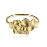 Anillo en plata (Joias do Paraíso)