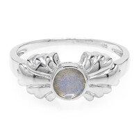 Anillo en plata con Espectrolita