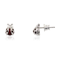 Pendientes en plata con Ámbar colombiano rojo