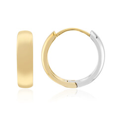 Pendientes en plata