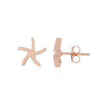 Pendientes en plata