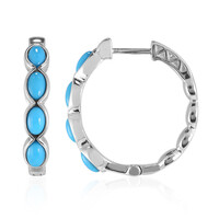 Pendientes en plata con Turquesa bella durmiente