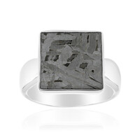 Anillo en plata con Meteorito Aletai