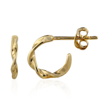Pendientes en plata