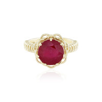 Anillo en oro con Rubí de Madagascar (Ornaments by de Melo)