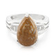 Anillo en plata con Cuarzo Dinosaurio