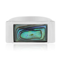Anillo en plata con Concha de Abalone