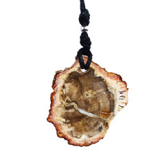 Collar con Madera de palma petrificada