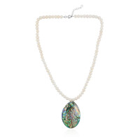 Collar en plata con Concha de Abalone (TPC)