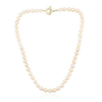 Collar en plata con Perla de Akoya (TPC)