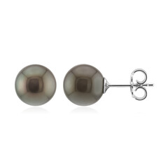 Pendientes en plata con Perla cultivada de Tahití (TPC)