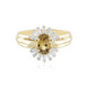 Anillo en oro con Tanzanita amarilla sin calentar (Adela Gold)
