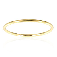 Anillo en plata