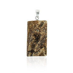 Colgante en plata con Jaspe Paisaje