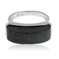 Anillo en plata con Roble palustre