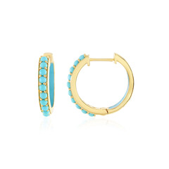 Pendientes en plata con Turquesa bella durmiente