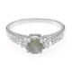 Anillo en plata con Espectrolita