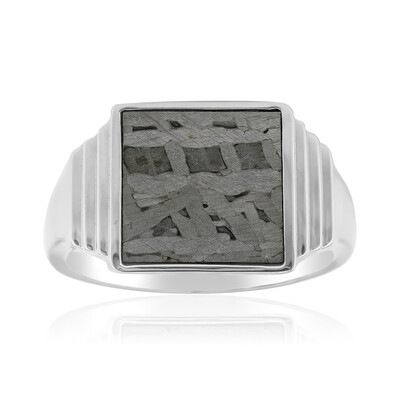 Anillo en plata con Meteorito Aletai