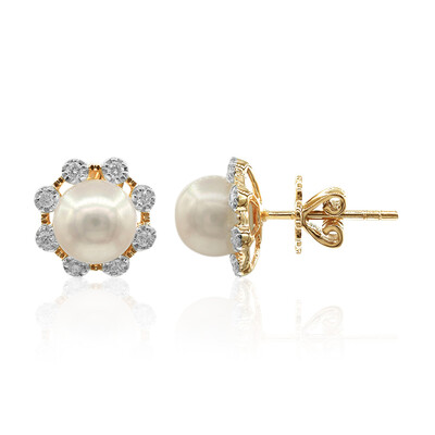 Pendientes en oro con Perla de Akoya (TPC)