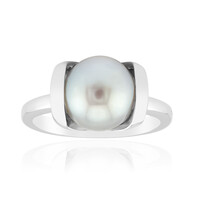 Anillo en plata con Perla plateada Freshwater (TPC)