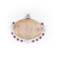 Colgante en plata con Piedra petoskey