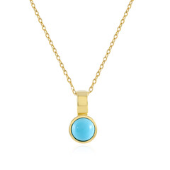 Collar en plata con Turquesa bella durmiente
