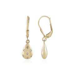 Pendientes en plata con Diamante I3 (J)