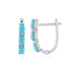 Pendientes en plata con Turquesa bella durmiente