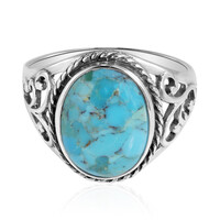 Anillo en plata con Turquesa (Art of Nature)