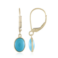 Pendientes en oro con Turquesa bella durmiente