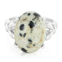 Anillo en plata con Jaspe Dálmata