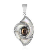 Colgante en plata con Concha de Abalone (Art of Nature)