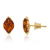 Pendientes en plata con Ámbar báltico