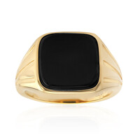 Anillo en plata con Ónix negro