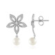 Pendientes en plata con Perla blanca Freshwater