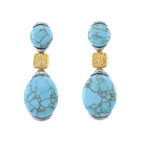 Pendientes en plata con Turquesa