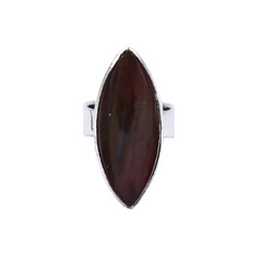Anillo en plata con Madera de palma petrificada