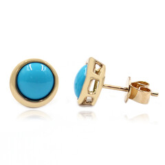 Pendientes en oro con Turquesa bella durmiente