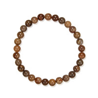 Brazalete con Madera de palma petrificada
