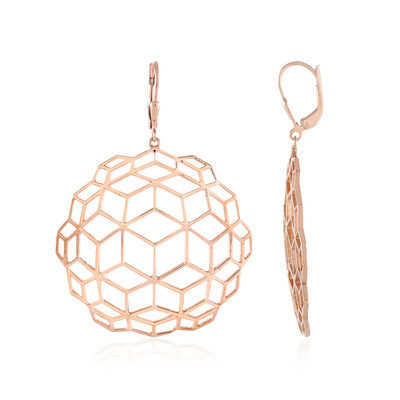 Pendientes en plata (SAELOCANA)
