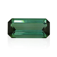 Piedra preciosa con Turmalina verde