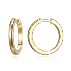 Pendientes en plata