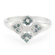 Anillo en plata con Diamante fantasía