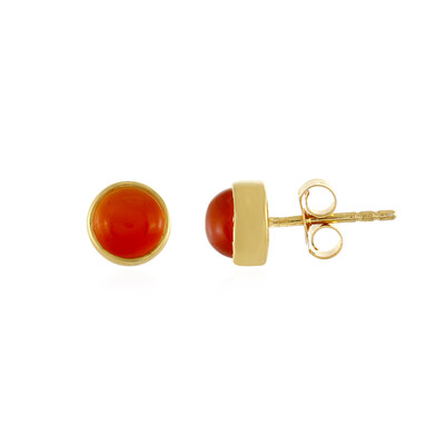 Pendientes en plata con Cornalina