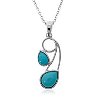 Collar en plata con Turquesa bella durmiente